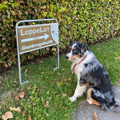 Vit skylt för Estate Sign Standard med tryck på båda sidor