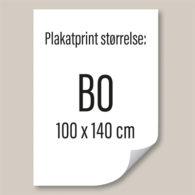 B0 - 100x140 cm Poster tryckt på PET Stayflat film