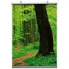 Posterhängarea Dubbelsidig - A2 - 42cm #2