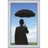 Alu snäppramar Watersafe - 35 mm - 50x70 cm - silver #3