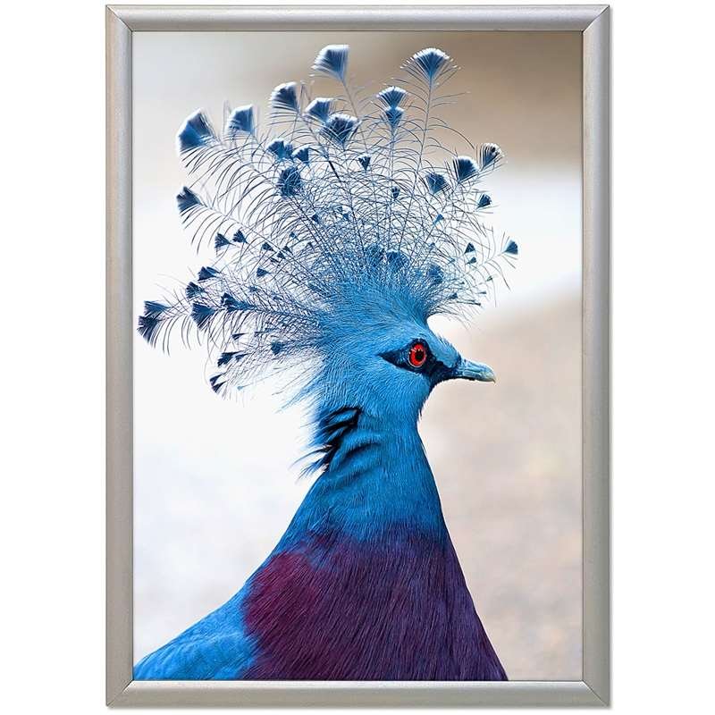 Alu sn&auml;ppramar, silver, 17 mm profil, 50 x 70 cm