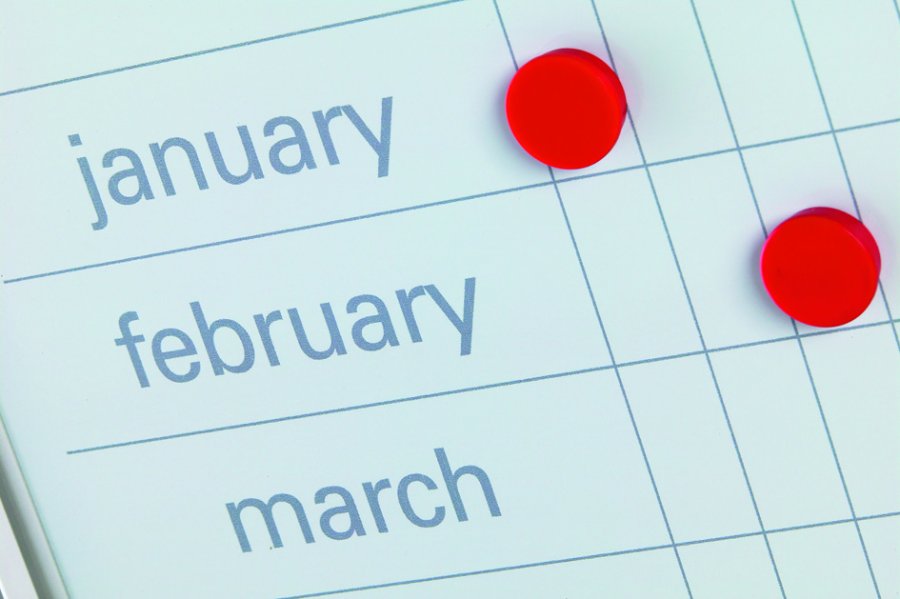 Planeringstavla - Årskalender med dagar - 60x120 cm