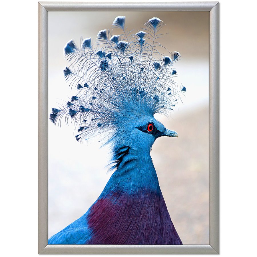 Alu sn&auml;ppramar, silver, 17 mm profil, 70 x 100 cm