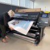 Plotterrulle Premium Stay-plat PET-film #5