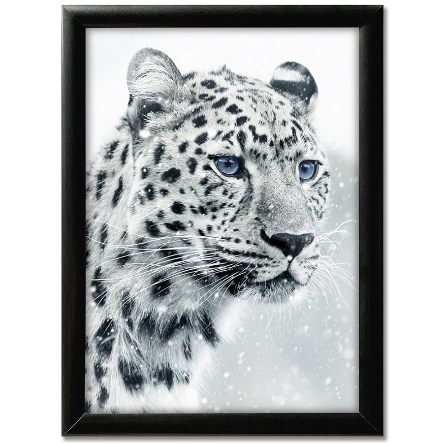 Sn&auml;ppram, 25 mm profil, Svart, B2 - 50 x 70 cm