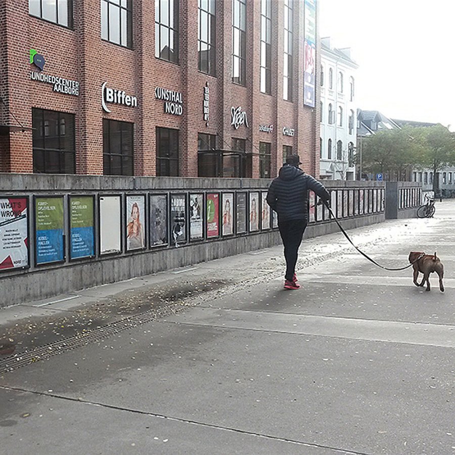 Sn&auml;ppram, 25 mm profil, Svart, B2 - 50 x 70 cm