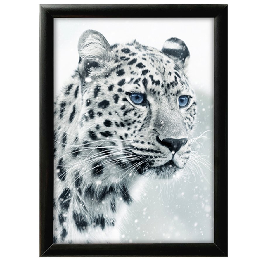 Sn&auml;ppram, 25 mm profil, Svart, B1 - 70 x 100 cm