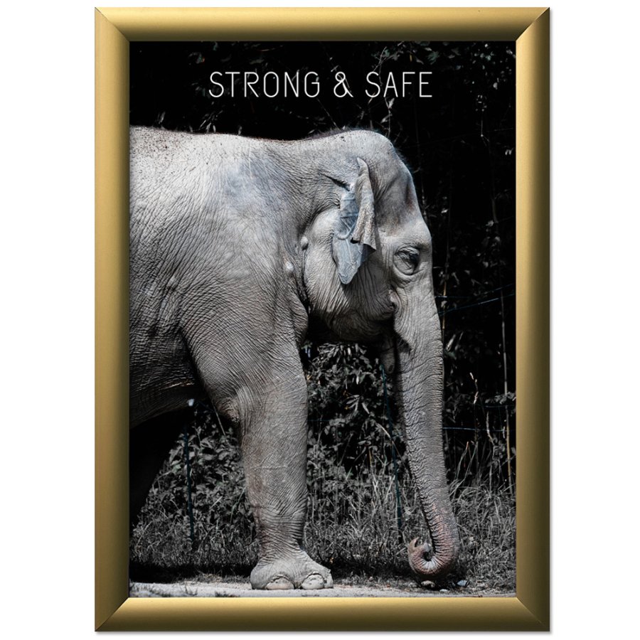 Alu sn&auml;ppramar - 25 mm - 70x100 cm - guldeloxeret