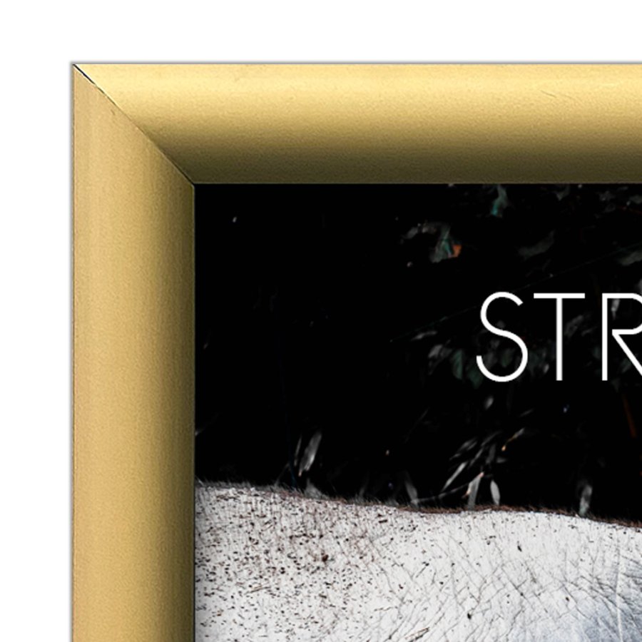 Alu sn&auml;ppramar - 25 mm - 70x100 cm - guldeloxeret